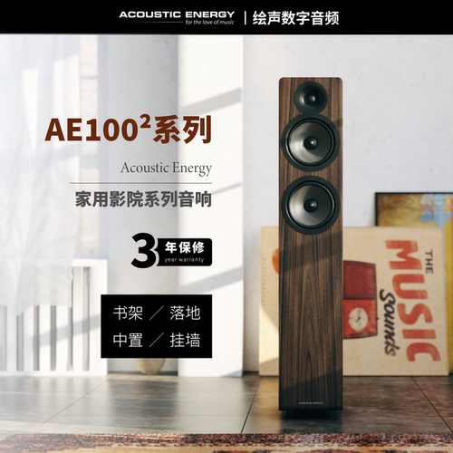 AE英国AE100发烧影院无源音箱