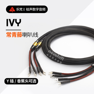 常青藤喇叭线 IVY 乐梵 REFAND 银导体HIFI发烧CD功放喇叭线