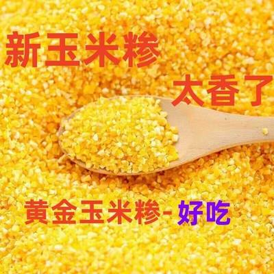 陕西玉米碴子杂粮细玉米糁新货