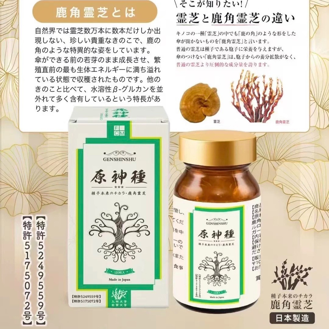 FCM日本ex原神种子ex-scret九州大学研制结节健康复原力鹿角灵芝