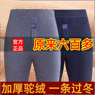 男士保暖裤冬季2026新款男款保温裤男式加绒加厚打底绒裤秋裤棉裤