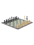 CHESSSHOP CONQUEROR CONQUEROR STESTON CANKERT для международных шахматных и портативных юниоров