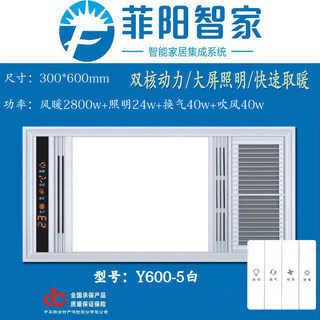 集成吊顶凉霸厨房嵌入式照明二合一吹风换气三合一带灯冷风吸顶式