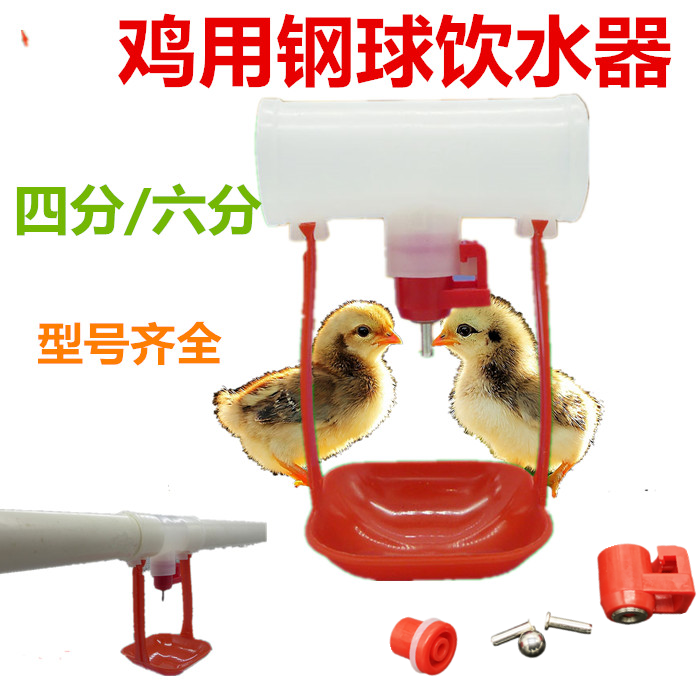 鸡用自动饮水器 钢球式球阀自动饮水嘴 鸡用直通式乳头饮水器6分
