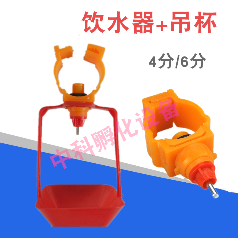 鸡用弹簧乳头饮水器 带吊杯 6分管弹簧卡式鸡自动饮水器 饮水嘴