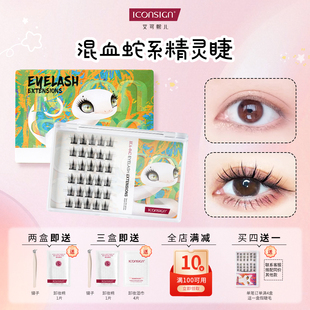 艾可熙儿混血蛇系免胶水假睫毛泰式冷血感轻松驾驭分段式单簇睫毛
