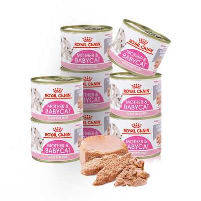 Molly萌爪 皇家进口奶糕罐头慕斯主食罐幼猫奶粮猫咪奶罐猫湿粮