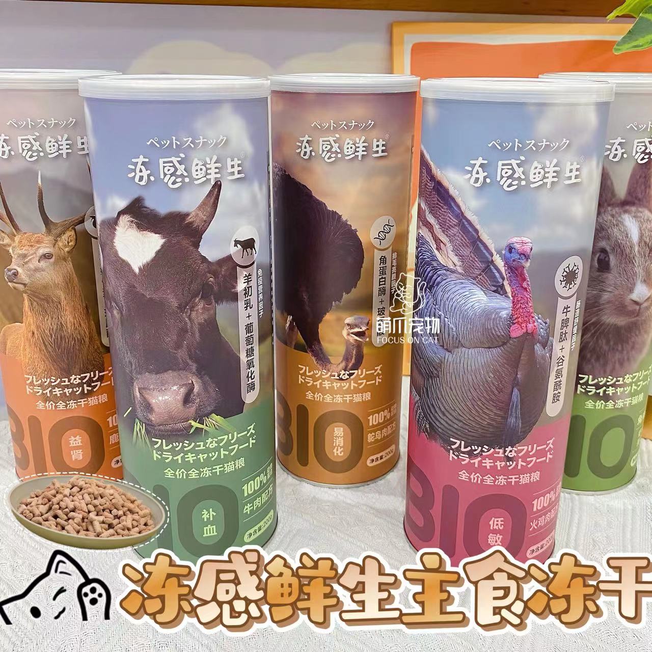 Molly萌爪冻感鲜生全价冻干宠物生骨肉猫咪牛肉兔肉主食猫粮-封面