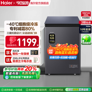 40℃冰箱冷柜 200升冷藏小冰柜一级家用商用零下 海尔100 142