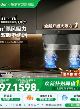 海尔出品统帅抽油烟机燃气灶一套75Z1顶侧双吸家用大吸力烟灶套装