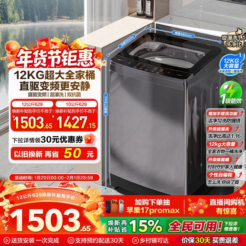 [手搓洗]海尔波轮洗衣机家用全自动直驱动变频12kg大容量除菌629