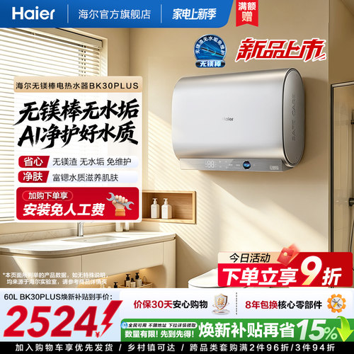 海尔60升无镁棒双胆BK30plus
