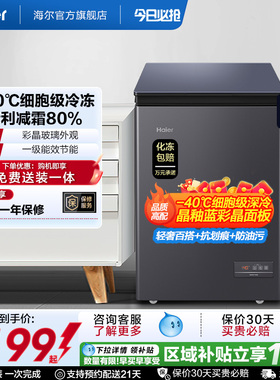 海尔100/142/200升冷藏小冰柜一级家用商用零下-40℃冰箱冷柜