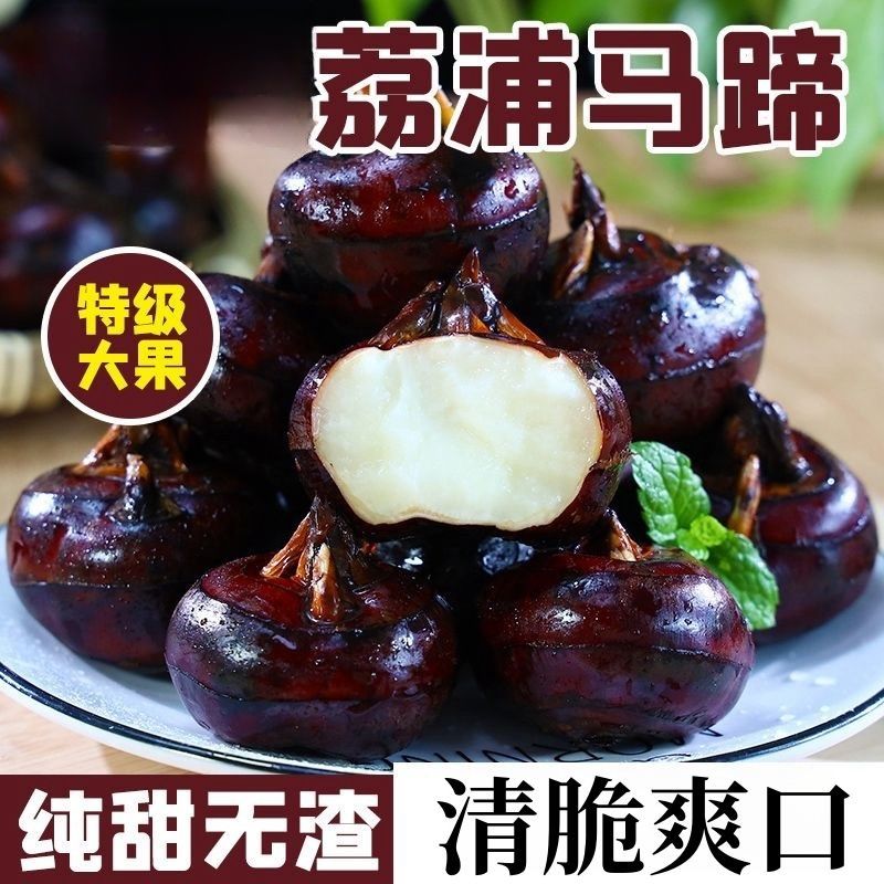 新鲜马蹄荸荠现挖现发