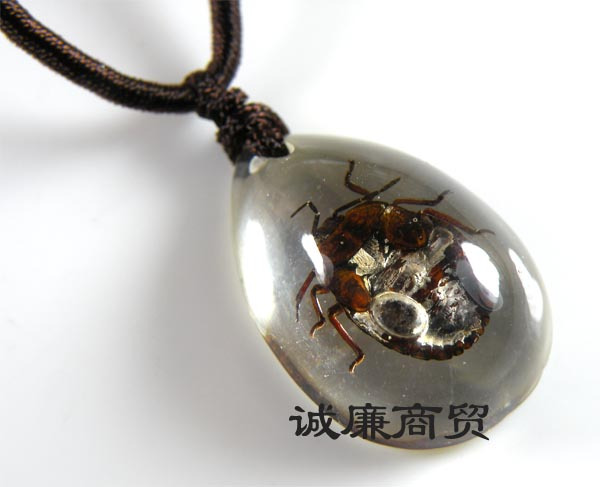 琥珀项链透明昆虫吊坠