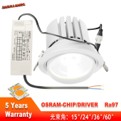 LED嵌入式 射灯大功率天花灯筒灯商超酒店会议室30W开孔12公分