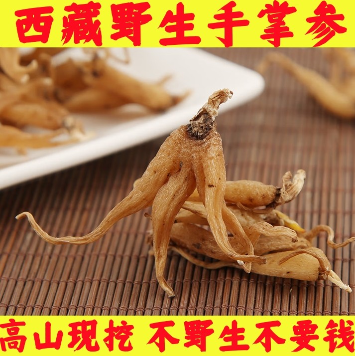 西藏野生手掌参250g天然野生无硫干晒手掌参大个野生佛手参五指参