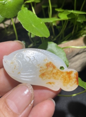 新疆和田玉白玉籽料挂件挂坠吊坠鱼