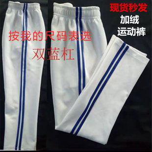 中性休闲运动长裤 杠亮蓝中小学生春冬加绒校裤 针织常规裤 订做新款
