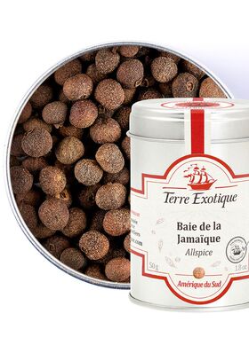【欧厨】terre exotique baie de la Jamaique牙买加50g