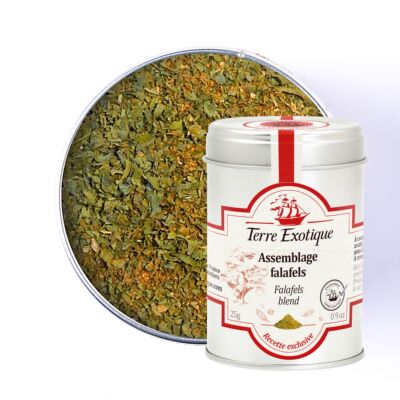 【欧厨】terre exotique assemblage falafels混合粉25g