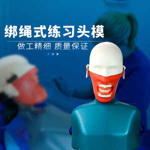 高级肩体仿头模绑绳式
