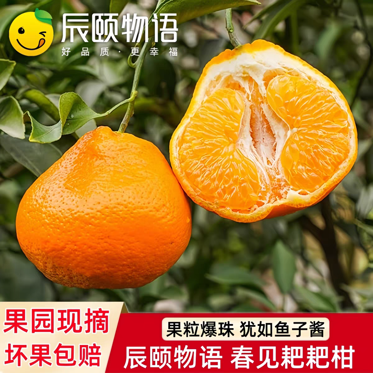 辰颐物语春见耙耙柑非沙糖桔橘子脆甜蜜桔子现摘新鲜应季水果,水产肉类/新鲜蔬果/熟食,桔子,淘宝优惠券,粉丝福利购,淘宝优惠卷