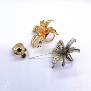 外贸饰品Z家高端（每个）夸张质感个性时尚百搭戒指H一679一4