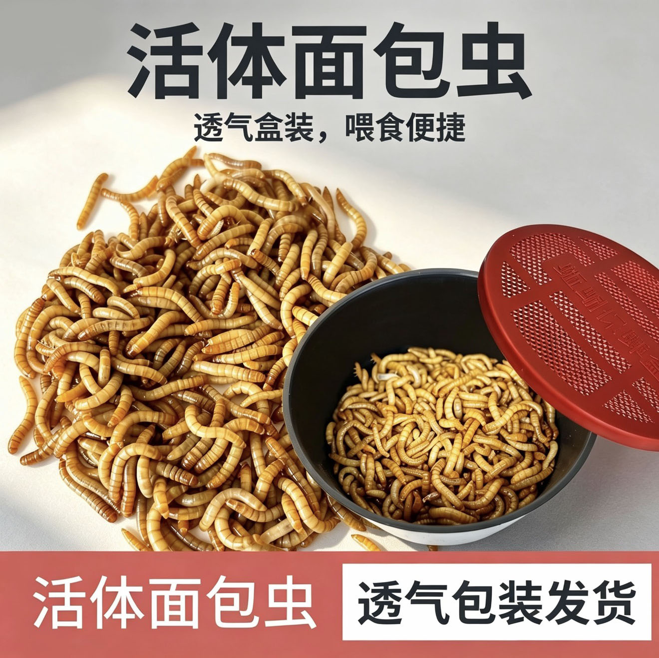 鲜活面包虫黄粉虫活体 八哥画眉鹦鹉鸟食 角蛙守宫蜥蜴蜘蛛饲料