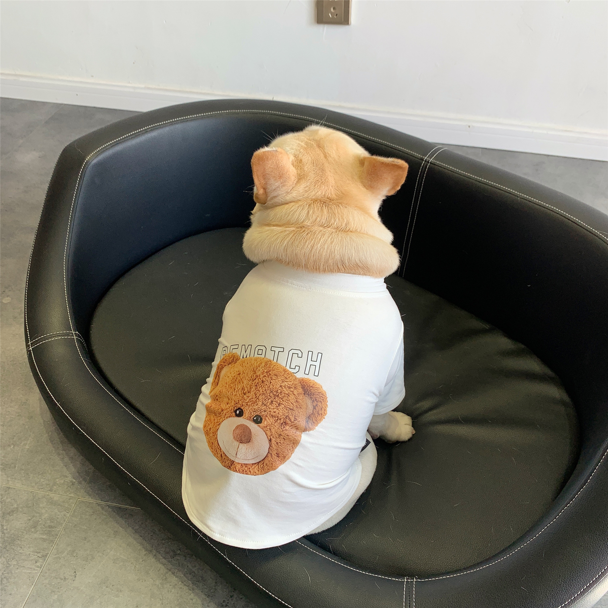 宠物狗狗春季衣服 法斗八巴哥比熊柴犬小型犬T恤 泰迪印花打底衫