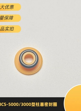 赛默飞ICS-5000/3000型柱塞密封圈075768耐磨损适配高性能稳国产