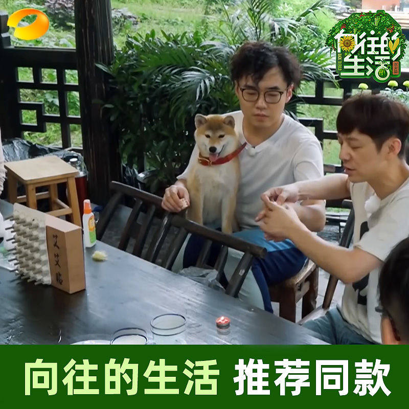 向往的生活同款艾艾灸贴深圳前海李时珍同仁堂家用艾炙哎艾灸条柱