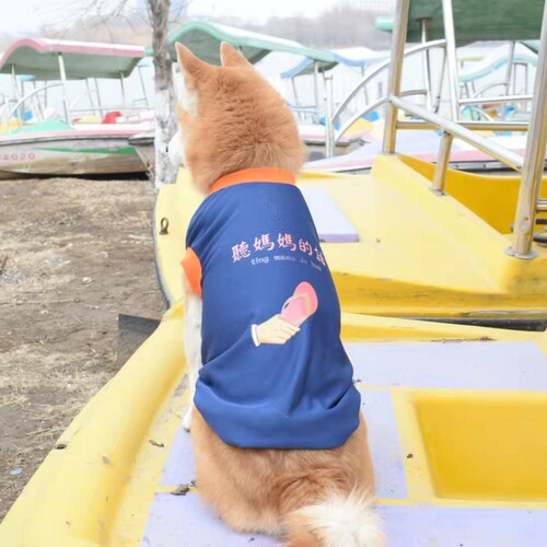潮牌趣味卡通文字网眼透气背心柴犬柯基哈士奇古牧阿拉斯加狗衣服
