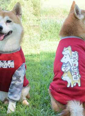宠物狗狗红色新年喜庆冬季加绒保暖卫衣柴犬泰迪金毛狗狗衣服