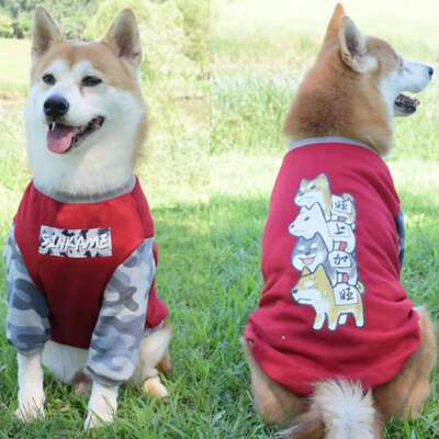 红色喜庆加绒金毛衣服