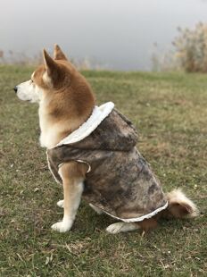 秋冬新款 狗皮衣羊羔毛皮夹克柴犬柯基边牧泰迪金毛阿拉斯加狗衣服