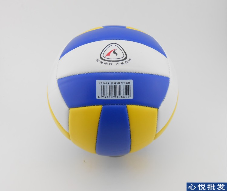 Ballon de volley - Ref 2010233 Image 4