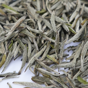 2022政和头采白毫银针自然转化毫香显清凉花香茶汤棉滑 白茶