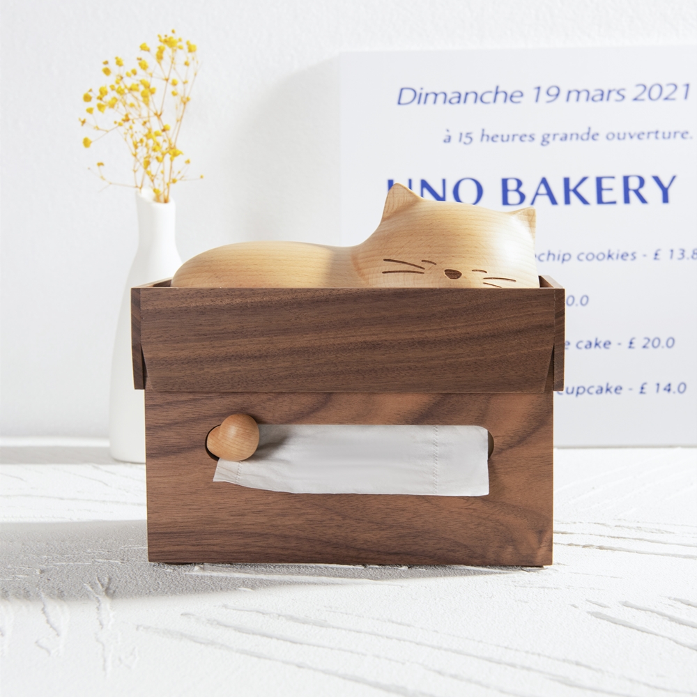 躺在纸箱的猫猫木质纸巾盒