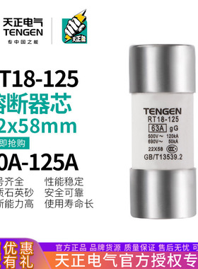 TENGEN天正 RT18-125熔断器芯RT14-63保险丝RT19 RO17陶瓷22*58MM