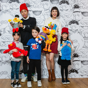 kaws x芝麻街公仔毛绒玩具玩偶萌娃娃艾莫甜饼怪大鸟伯特厄尼抱偶