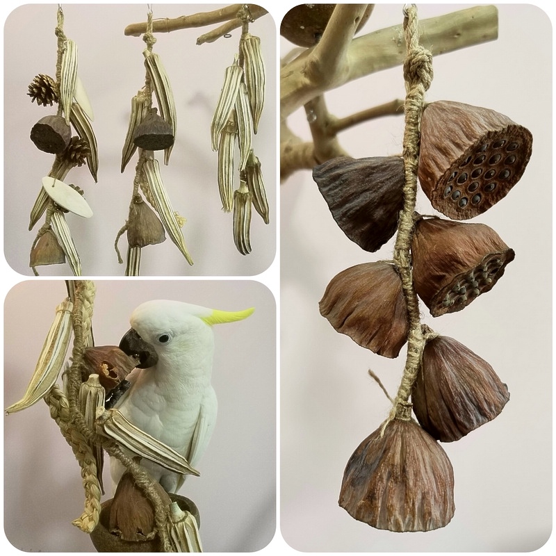 鹉林外传益智鹦鹉玩具啃咬解闷