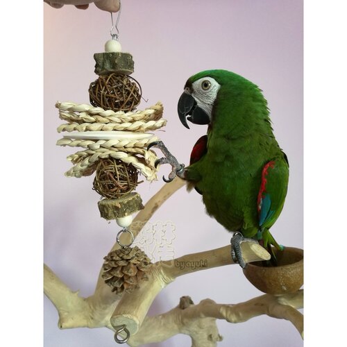 鹉林外传益智鹦鹉玩具啃咬解闷