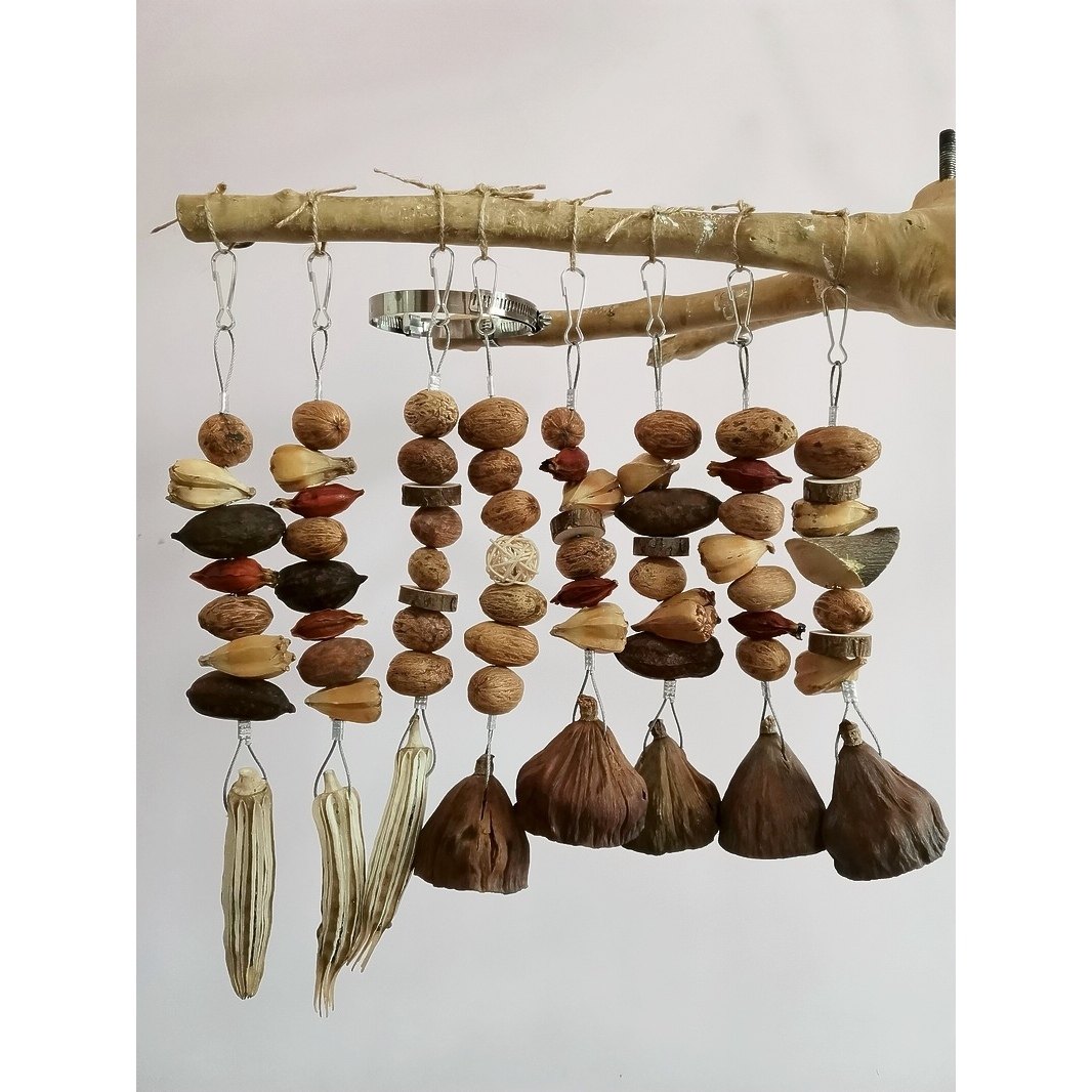 店主推荐鹦鹉啃咬玩具精选带籽莲蓬缤纷果串玄凤牡丹鹦鹉虎皮咬串,宠物/宠物食品及用品,鸟玩具,淘宝优惠券,粉丝福利购,淘宝优惠卷