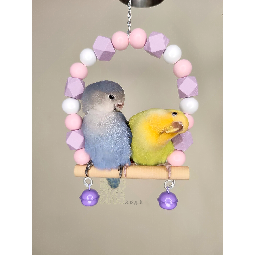 店主推荐缤纷多彩手工原木秋千虎皮玄凤牡丹鹦鹉站架小号站杠玩具,宠物/宠物食品及用品,鸟玩具,淘宝优惠券,粉丝福利购,淘宝优惠卷