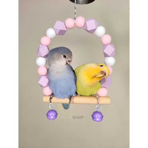 鹉林外传益智鹦鹉玩具啃咬解闷