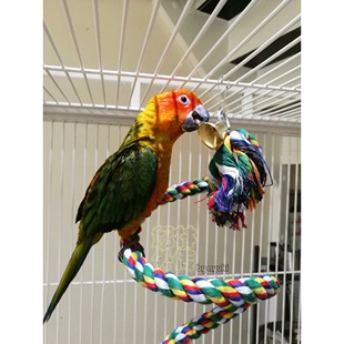 中小型鹦鹉攀爬绳索 五彩棉绳秋千 站杠爬梯旋转云梯鹦鹉啃咬玩具