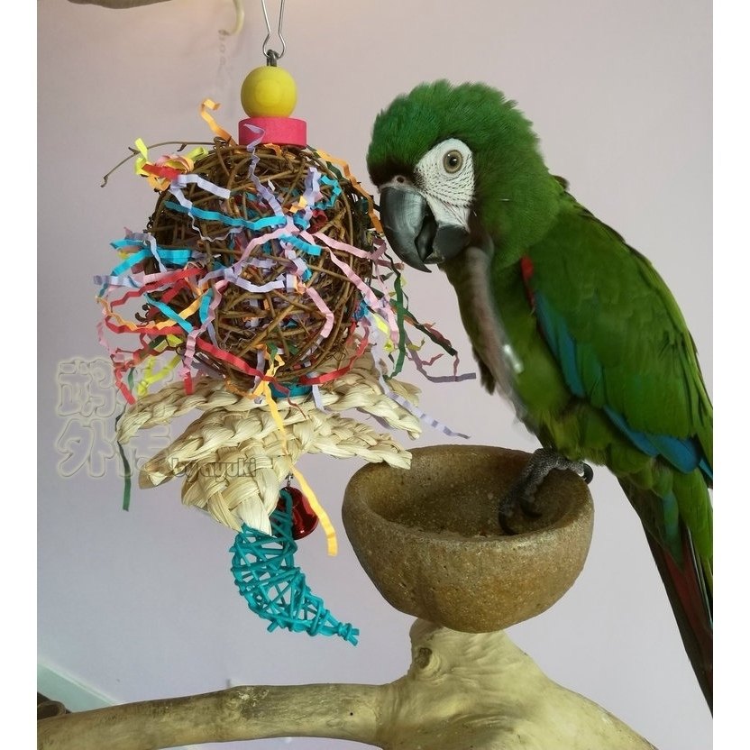 中小型鹦鹉啃咬破坏类玩具缤纷大章鱼彩球玄凤牡丹鹦鹉磨嘴鸟用品,宠物/宠物食品及用品,鸟玩具,淘宝优惠券,粉丝福利购,淘宝优惠卷