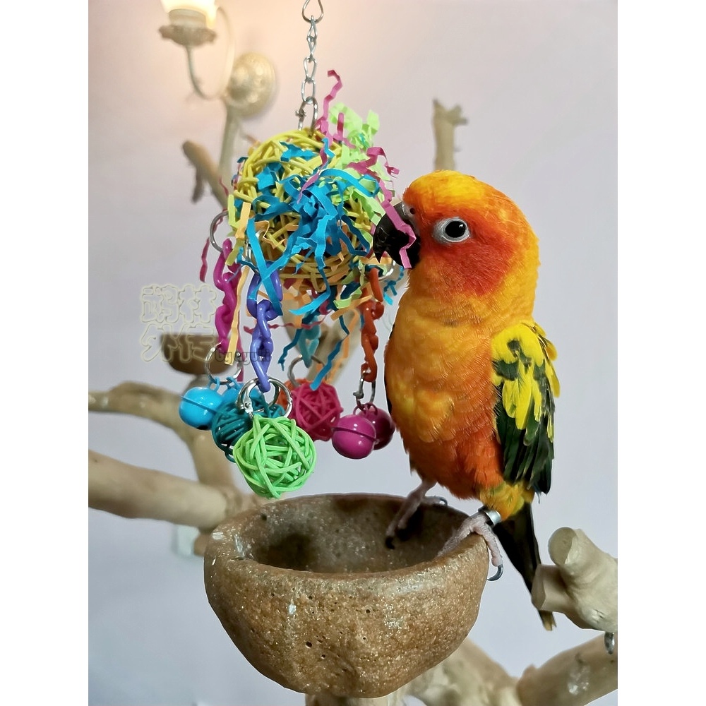 鹉林外传益智鹦鹉玩具啃咬解闷