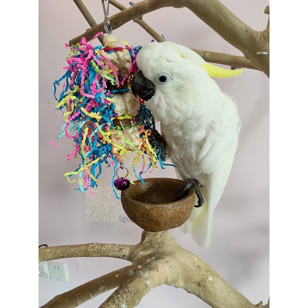 鹉林外传益智鹦鹉玩具啃咬解闷